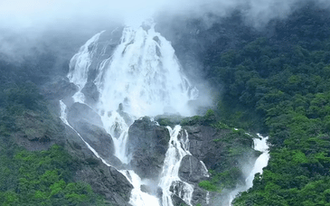 Dudhsagar Waterfalls Goa